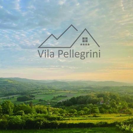 Vila Pellegrini Arandelovac Buitenkant foto