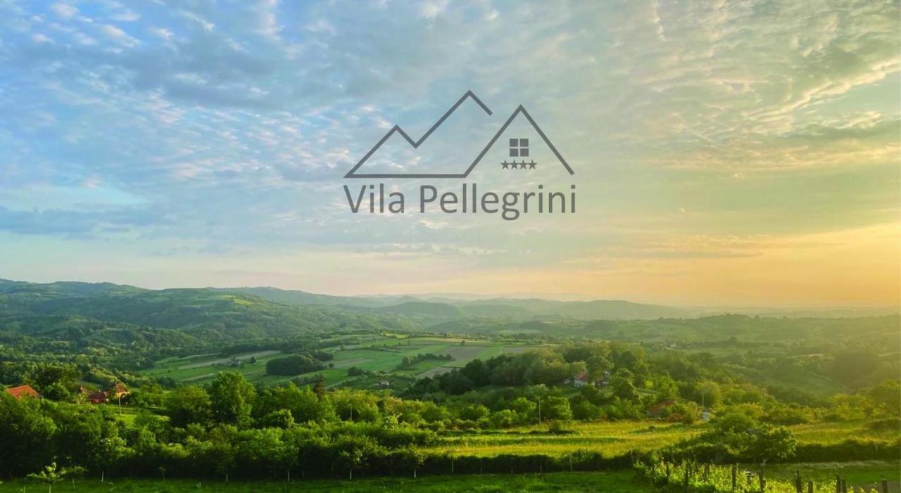 Vila Pellegrini Arandelovac Buitenkant foto