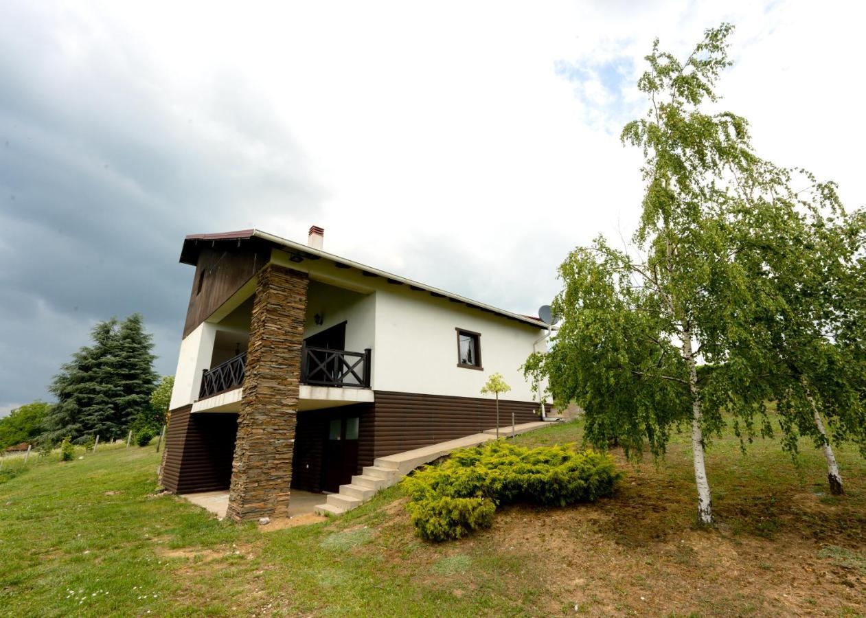 Vila Pellegrini Arandelovac Buitenkant foto