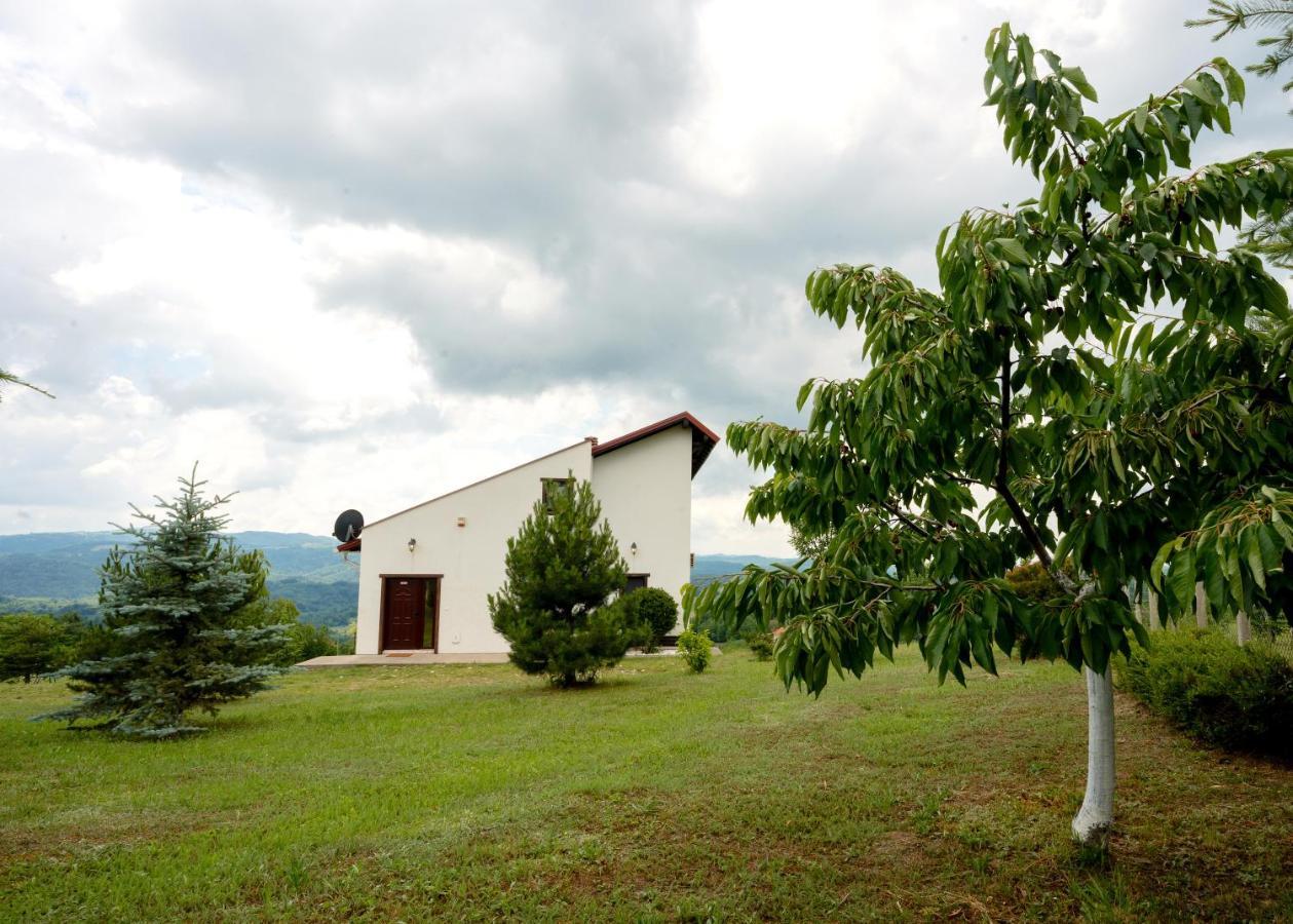 Vila Pellegrini Arandelovac Buitenkant foto